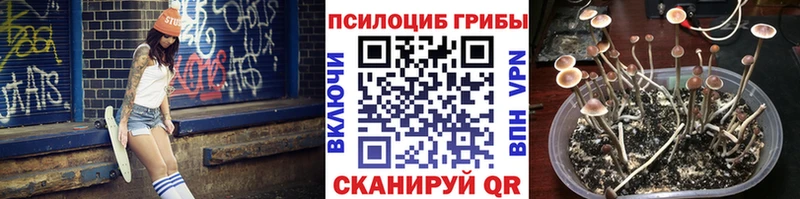 купить цена Себеж Галлюциногенные грибы мицелий